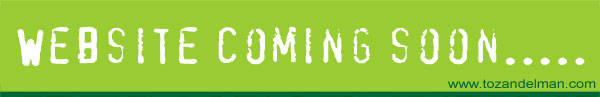 tozandelman.com website design